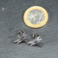 2 Ohrstecker Libelle, Messing platiniert, 11101