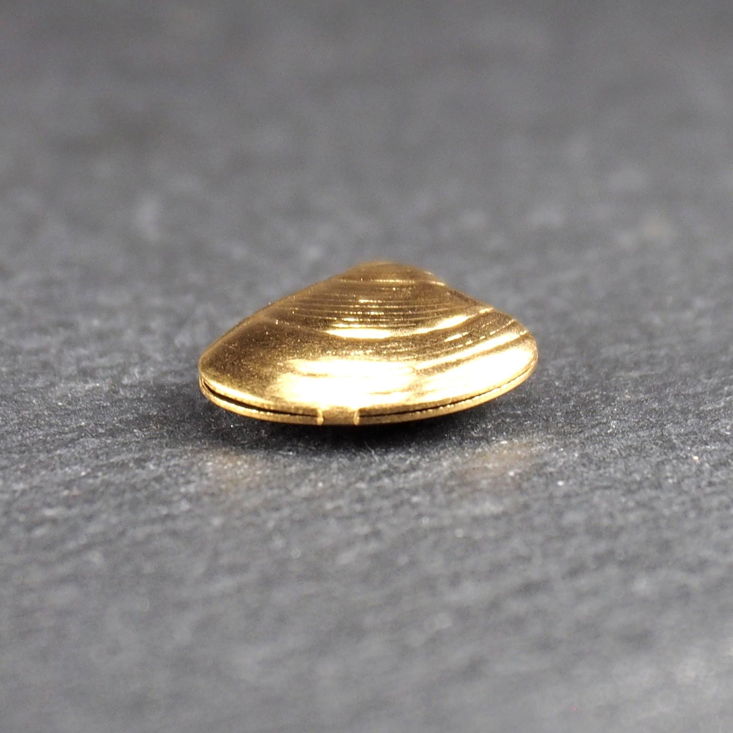 Kleiner muschelförmiger Anhänger, goldfarbene glänzende Oberfläche mit konzentrischen Rillen und integrierter Öse oben.