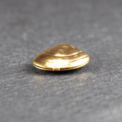 Kleiner muschelförmiger Anhänger, goldfarbene glänzende Oberfläche mit konzentrischen Rillen und integrierter Öse oben.