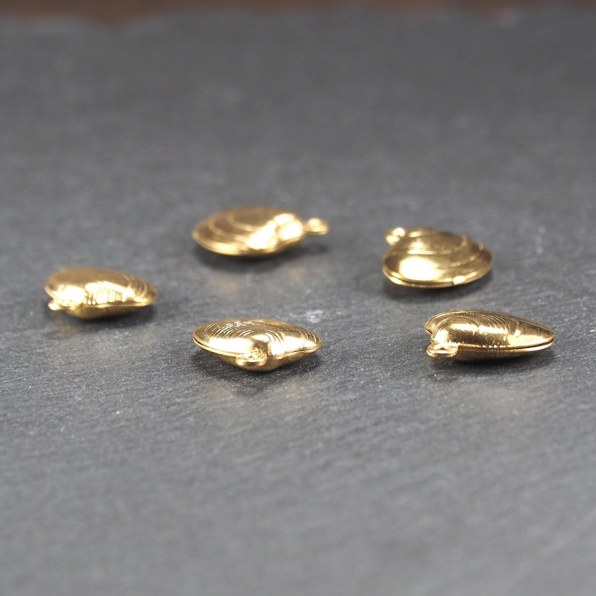 Kleiner muschelförmiger Anhänger, goldfarbene glänzende Oberfläche mit konzentrischen Rillen und integrierter Öse oben.