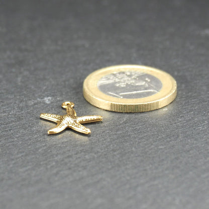 Vergoldeter, flacher Seestern-Anhänger mit strukturierter Reliefoberfläche und kleiner Öse, liegend neben einer 1-Euro-Münze.