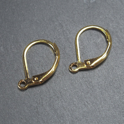 5 Paar Klappbrisuren, chirurgischer Edelstahl, goldfarben, Ohrhaken, 10173